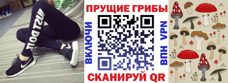 как найти наркотики  Волжск  Галлюциногенные грибы прущие грибы 